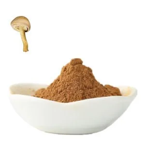 Is Agaricus Blazei Powder Safe to Consume?